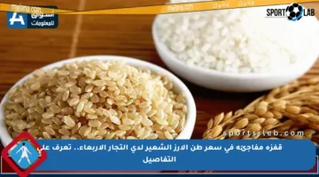 قفزة مفاجئة في سعر طن الأرز الشعير لدى التجار الأربعاء.. تعرف على التفاصيل